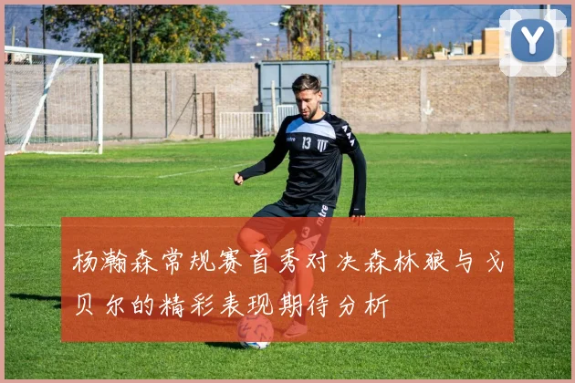 杨瀚森常规赛首秀对决森林狼与戈贝尔的精彩表现期待分析